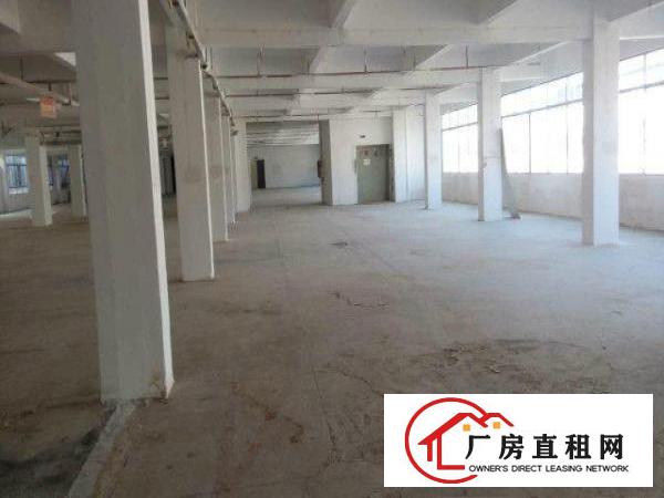 
岗梓招租一楼2500平方厂房可做五金塑胶类行业