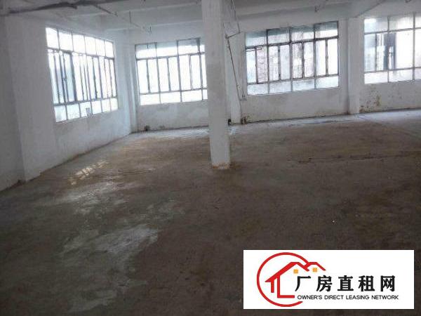 
岗梓招租一楼2500平方厂房可做五金塑胶类行业