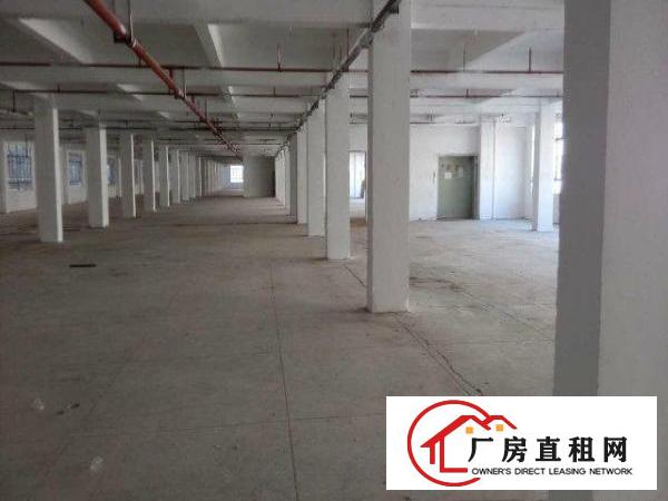
岗梓招租一楼2500平方厂房可做五金塑胶类行业