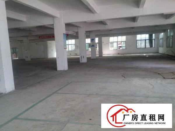 
袁山贝招租一楼厂房1200平方形象好可分租