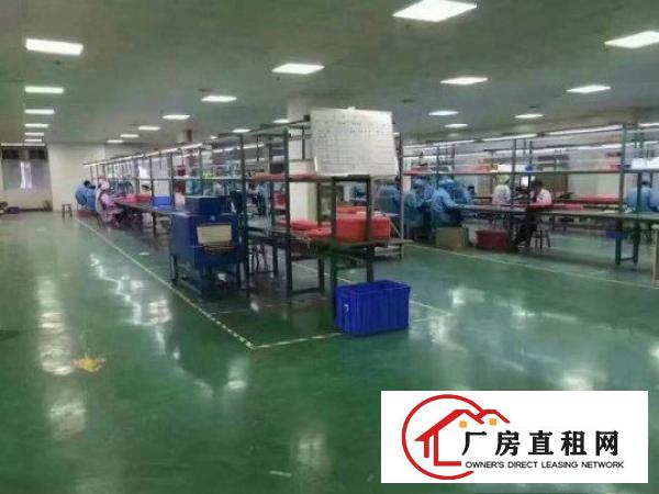 
常平火车站附近豪华装修800平米以上厂房出租精装修