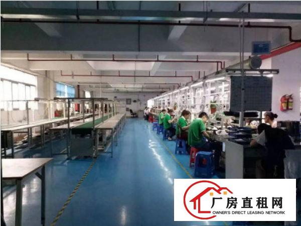 
常平火车站附近豪华装修800平米以上厂房出租精装修