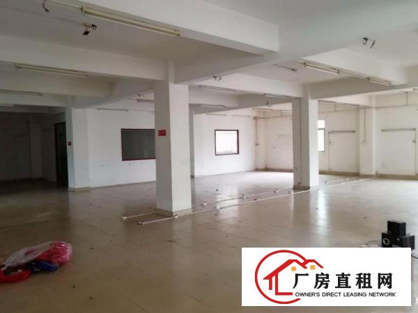 
房东低价出租东莞市常平镇袁山贝文昌路19号2楼厂房