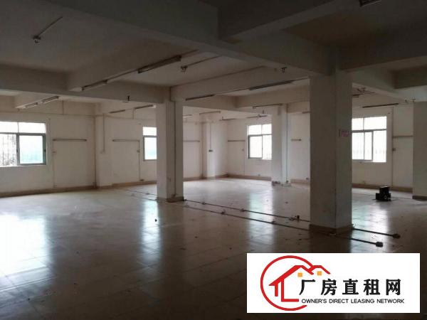 
房东低价出租东莞市常平镇袁山贝文昌路19号2楼厂房