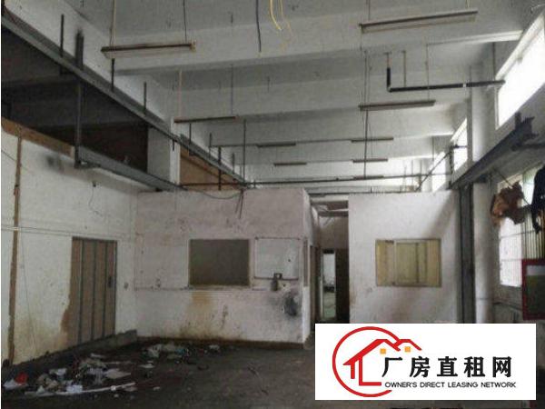 
常平九江水刚空出一楼1500平米厂房出租带办公室