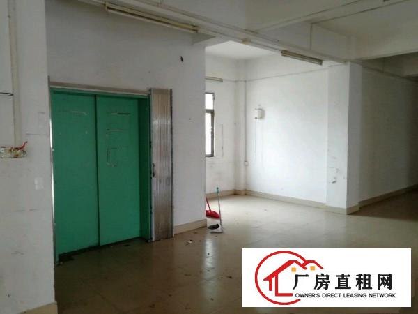 
袁山贝房东独立电梯厂房