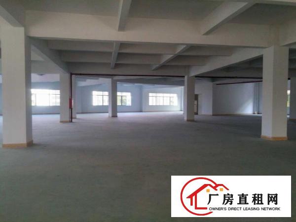 
上坑招租独门独院标准厂房3800平方带无尘车间