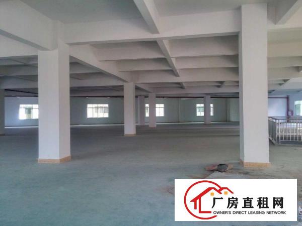 
上坑招租独门独院标准厂房3800平方带无尘车间