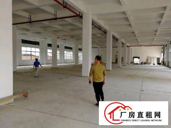 
桥沥村全新独院厂房8500平米