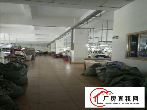 
常黄路新出楼上（带装修）1200平方厂房出租水电到位