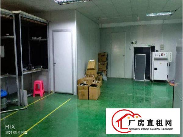 
常平陈屋贝880平米带无尘车间豪华装修厂房招租
