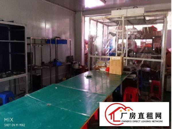 
常平陈屋贝880平米带无尘车间豪华装修厂房招租