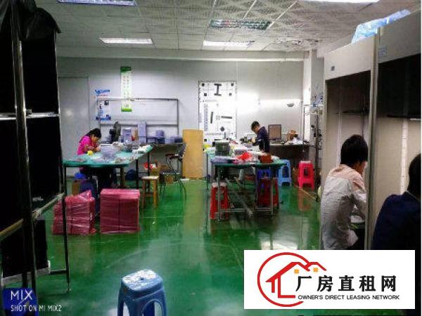 
常平陈屋贝880平米带无尘车间豪华装修厂房招租