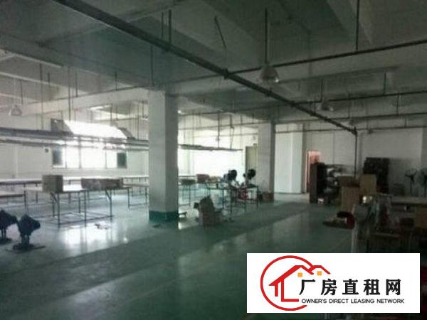 
常平漱旧附近一楼1000平米厂房招租带装修交通便利