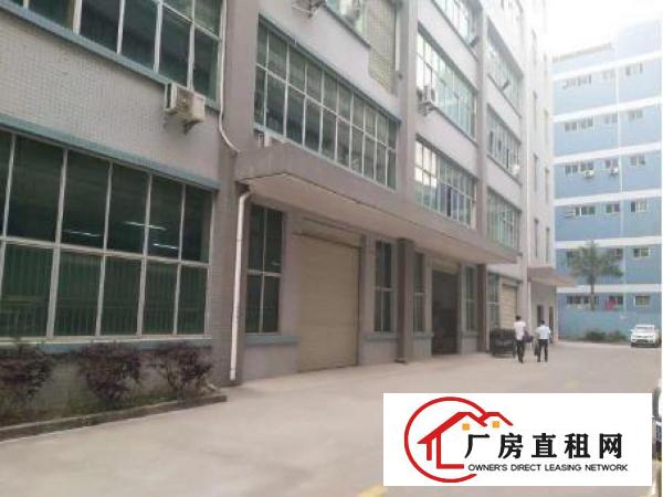 
常平九江水带豪华装修办公室厂房1750平米