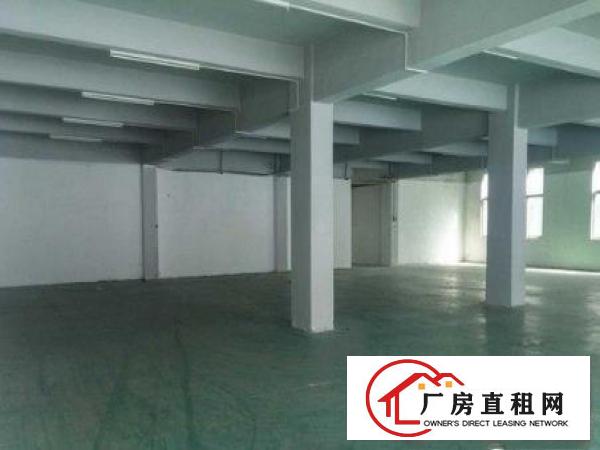 
常平卢屋独门独院1000平方米，空地200平方米出入方便