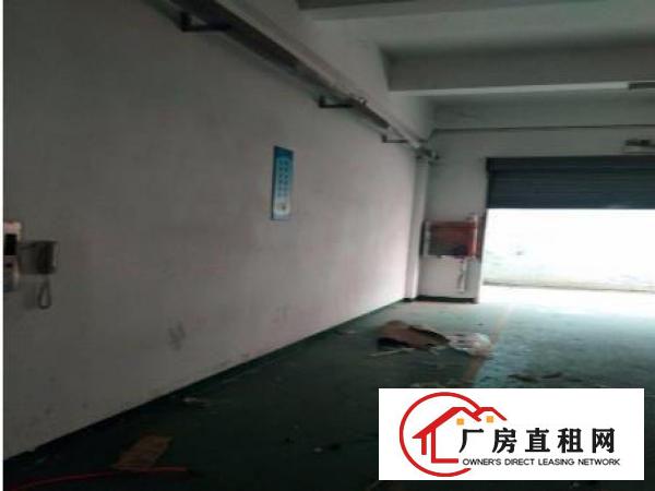 
常平还珠沥工业区一楼1200平米整租可分租