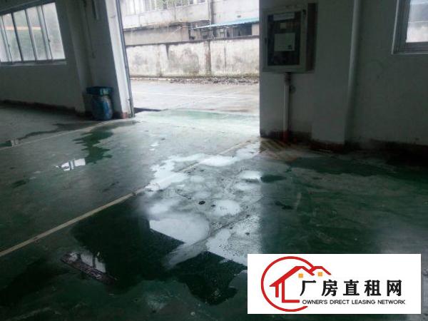 
常平天鹅湖出租一楼原房东600平米标准厂房急租