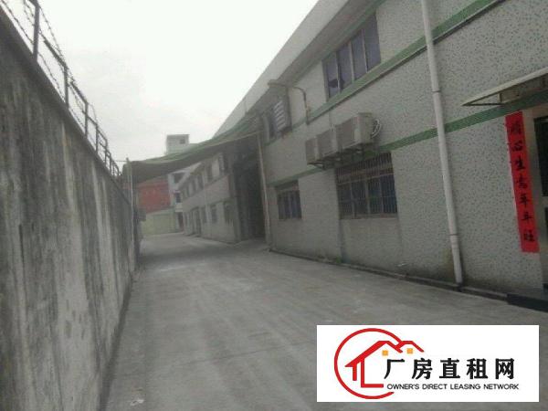 
常平独院砖墙到顶，钢结构带行车，厂房5000平米