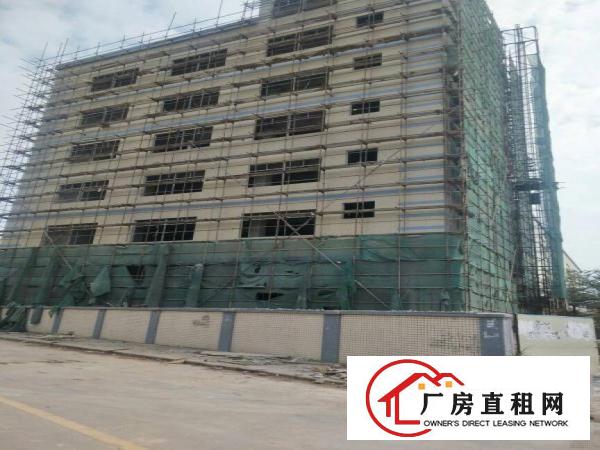 
常平全新独院6层带电梯厂房招租