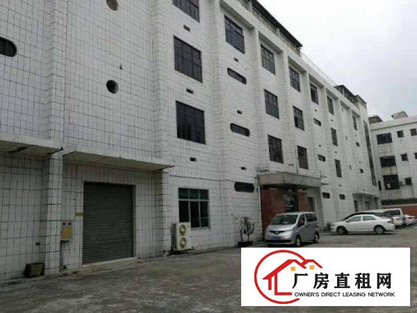 
常平镇独门独院标准四层厂房招租