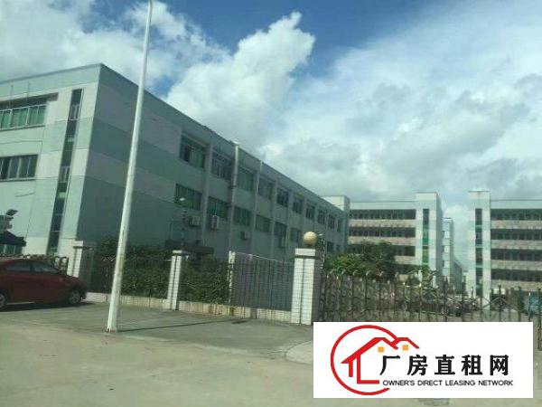 
常平厂房出租出售/常平厂房中介公司
