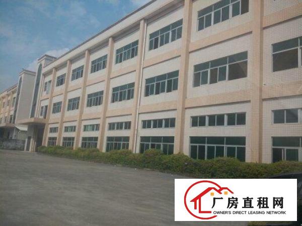 
常平厂房出租出售/常平厂房中介公司