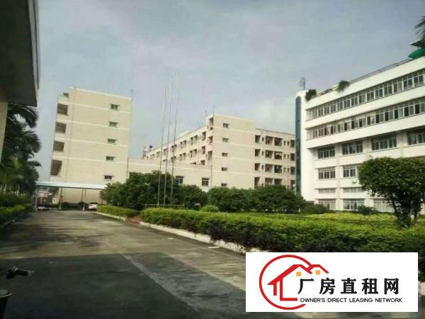 
常平10万工业园厂房出租大小分租