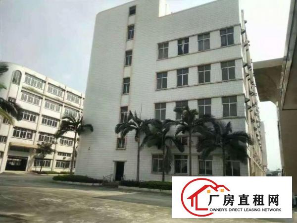 
常平10万工业园厂房出租大小分租
