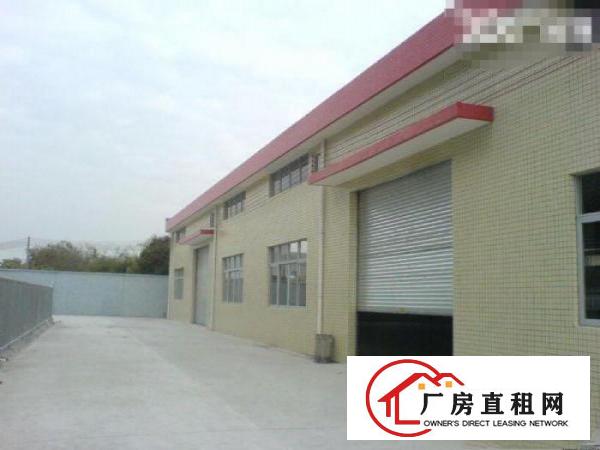 
常平袁山贝新鲜出炉标准厂房两栋两层共2500方
