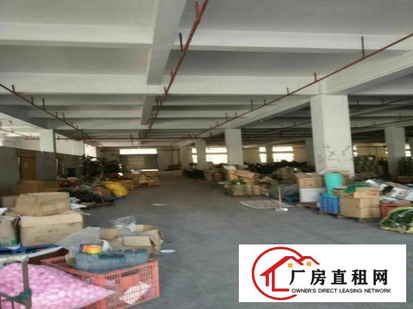 
常平镇成熟工业区新出标准厂房一楼2000平方招租