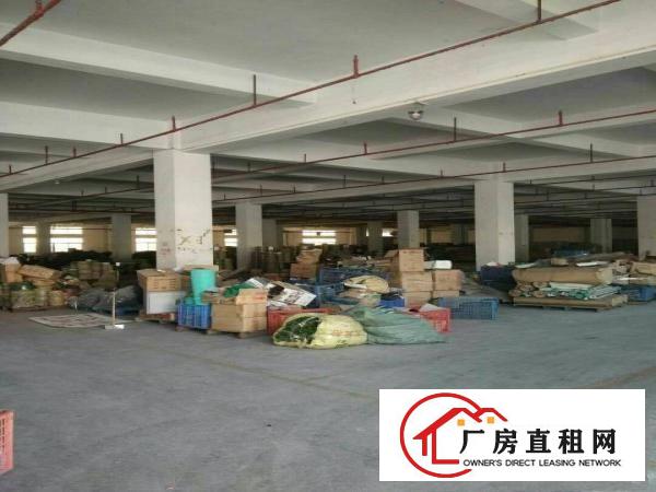 
常平镇成熟工业区新出标准厂房一楼2000平方招租