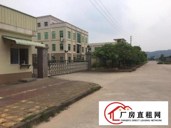 
常平镇白石岗新出一楼1800平米标准厂房出租