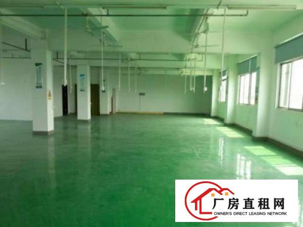 
常平镇各村均有厂房出租独院分租标准厂房