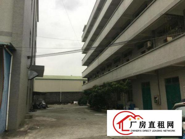 
常平镇苏坑村三楼1500平米厂房出租有电梯