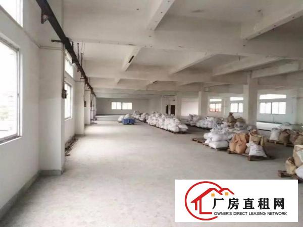
常平镇漱新村新出标准厂房1500平米