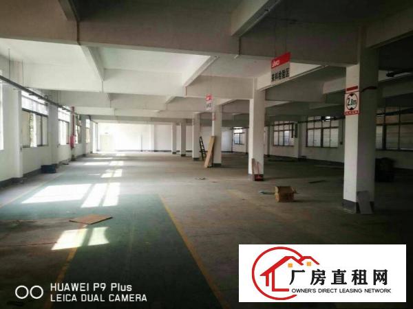 
常平镇新出原房东标准单层厂房