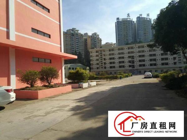 
常平镇新出原房东标准单层厂房