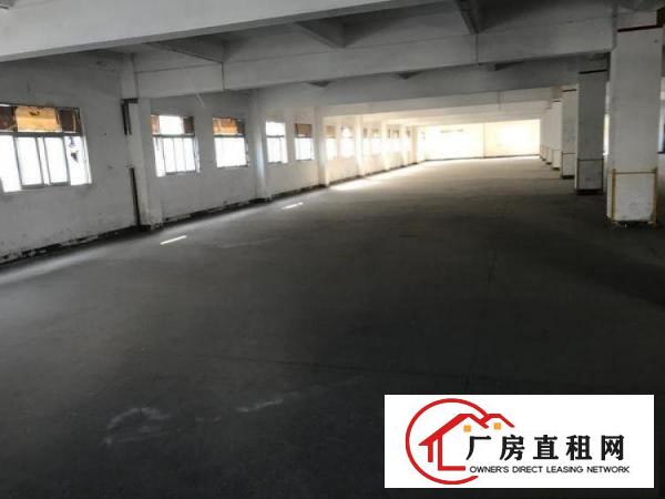 
常平镇元江元空出经典独院共计10000平方出租