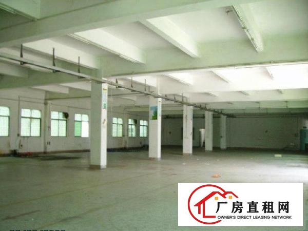 
常平镇塘角空出独门独院总面积4600平方出租