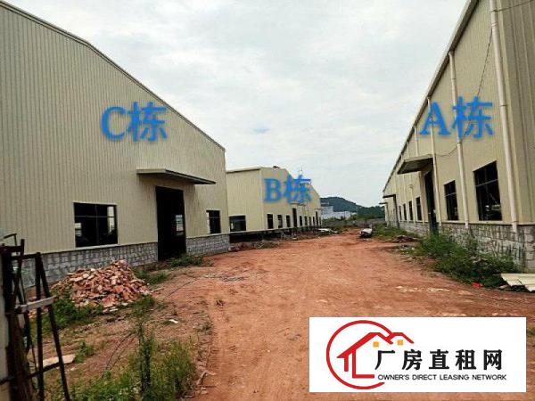 
常平土塘村金杯路江上村三栋单一层厂房出租