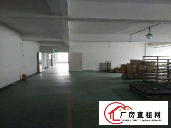 
常平独院厂房5800平方招租