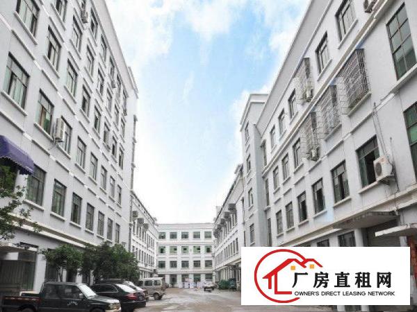 
卢屋社区荔枝园路现有标准厂房5楼1500平米分租