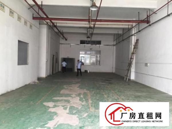 
卢屋社区荔枝园路现有标准厂房5楼1500平米分租