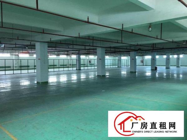 
卢屋社区荔枝园路现有标准厂房5楼1500平米分租