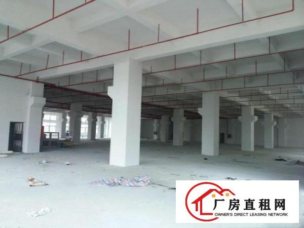 
卢屋社区荔枝园路现有标准厂房5楼1500平米分租