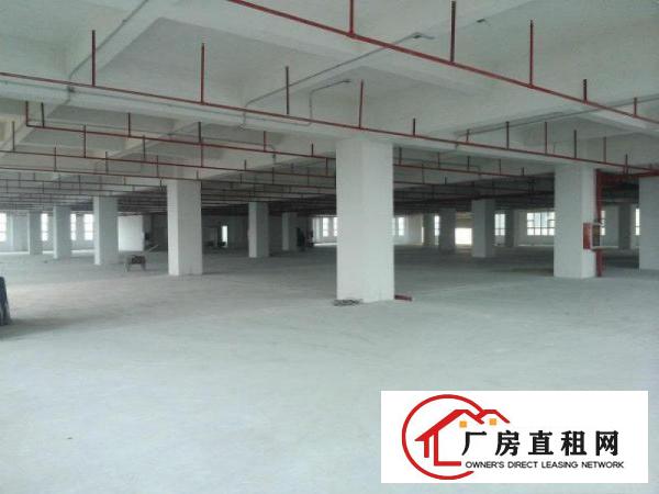
卢屋社区荔枝园路现有标准厂房5楼1500平米分租