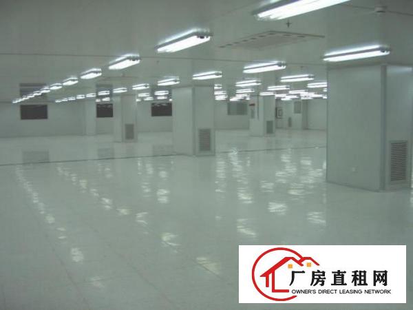 
常平白石岗市场附近分租二三楼3650平米