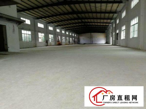 
常平白花沥新出全新重工业钢构厂房