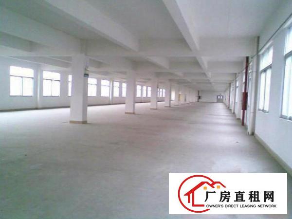 
常平土塘新空出独门独院厂房三层9000平方